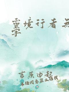 灵境行者 无错字