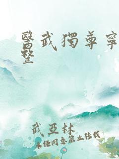 医武独尊宁天完整