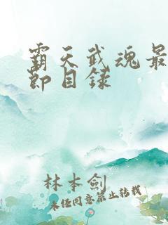 霸天武魂最新章节目录