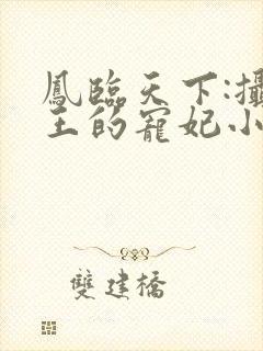 凤临天下:摄政王的宠妃小说小说