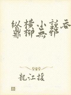 纵横小说吞天神鼎柳无邪