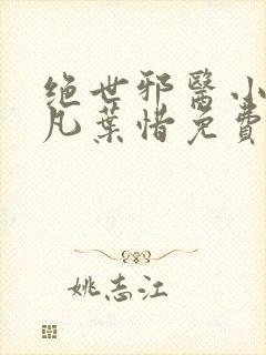 绝世邪医小说林凡叶惜免费阅读全文