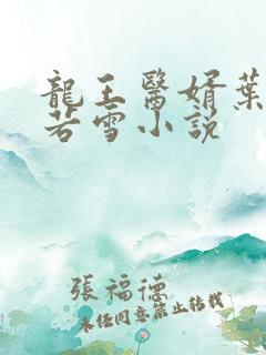 龙王医婿叶凡唐若雪小说