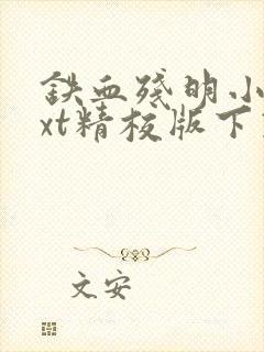 铁血残明小说txt精校版下载