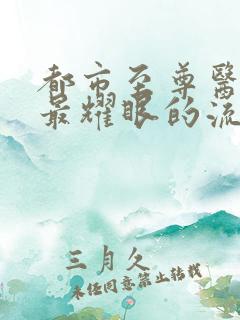 都市至尊医仙 最耀眼的流星