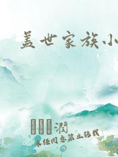 盖世家族小说