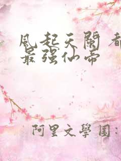 风起天阑 都市最强仙帝