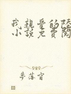 我亲爱的陆先生小说免费阅读