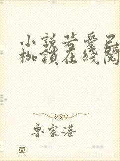 小说若爱已经成枷锁在线阅读