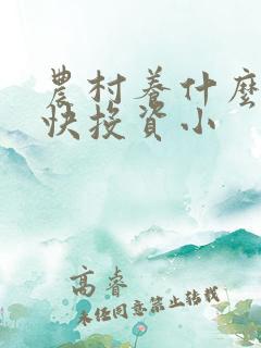 农村养什么挣钱快投资小