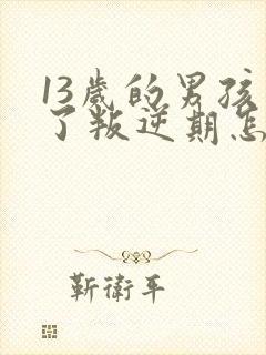 13岁的男孩到了叛逆期怎麽教