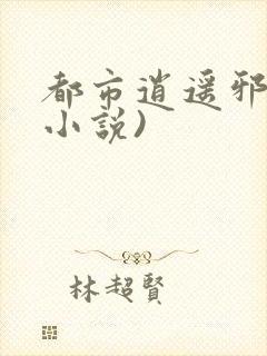 都市逍遥邪医(小说)