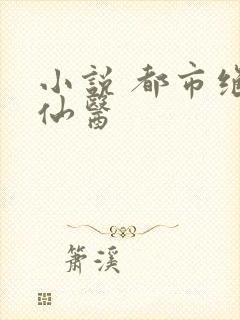 小说 都市绝武仙医