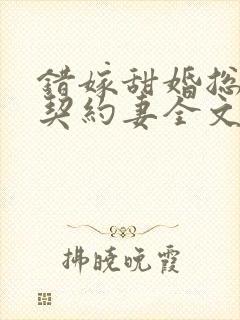 错嫁甜婚总裁的契约妻全文