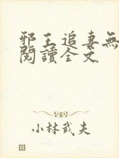 邪王追妻无删减阅读全文