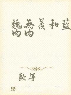 魏无羡和蓝忘机肉肉