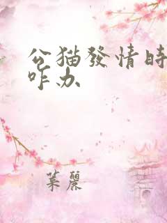 公猫发情时乱尿咋办