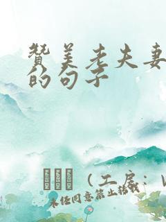 赞美老夫妻恩爱的句子