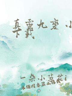 真灵九变 小说下载