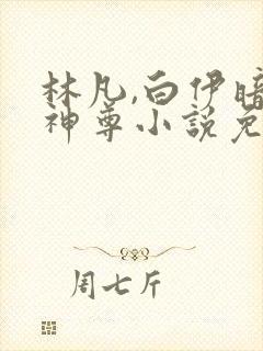 林凡,白伊暗黑神尊小说免费阅读