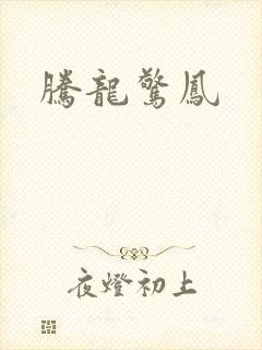 腾龙惊凤