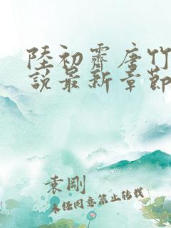 陆初霁唐竹心小说最新章节免费阅读
