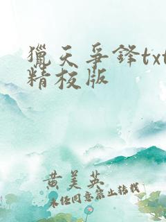 猎天争锋txt精校版