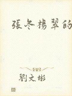 张冬杨翠的小说