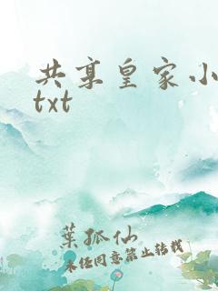 共享皇家小公主txt