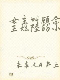女主叫顾念念男主姓陆的小说