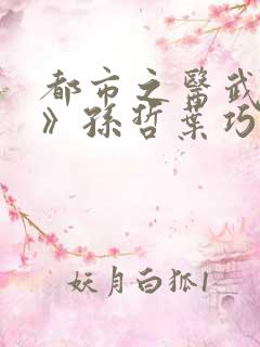 都市之医武风流》孙哲叶巧