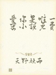 爱你是唯一的秘密小说免费阅读