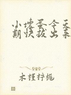 小坏蛋今天危险期快拔出来