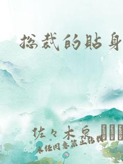 总裁的贴身女佣
