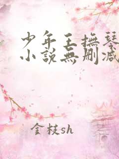 少年王抚琴的人小说无删减在线阅读