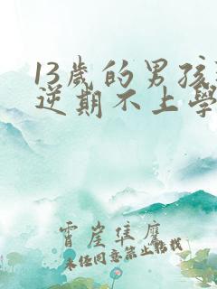 13岁的男孩叛逆期不上学怎么办