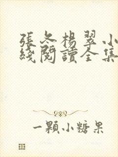 张冬杨翠小说在线阅读全集