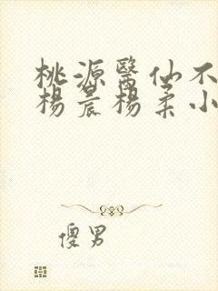 桃源医仙不风流杨晨杨柔小说正版阅读