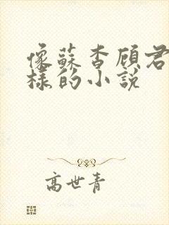 像苏杳顾君亦一样的小说