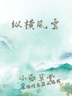 纵横风云