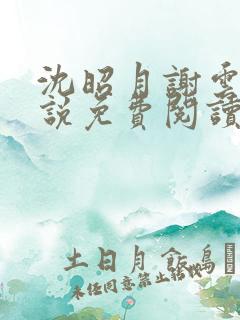 沈昭月谢云湛小说免费阅读最新章节