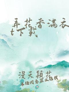 弄花香满衣txt下载