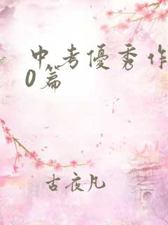 中考优秀作文30篇