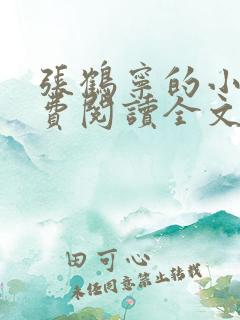 张鹤宁的小说免费阅读全文
