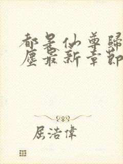 都是仙尊归来洛尘最新章节原版