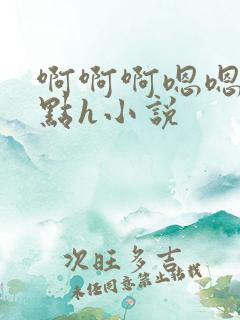 啊啊啊嗯嗯嗯轻点h小说