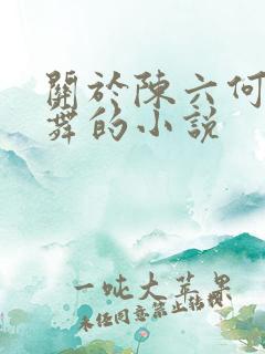 关于陈六何沈轻舞的小说