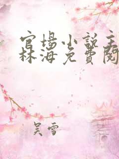 官场小说主人公林海免费阅读无弹窗