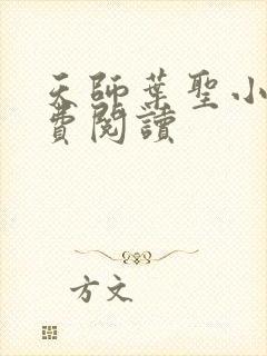 天师叶圣小说免费阅读