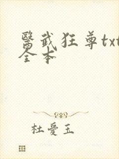 医武狂尊txt全本